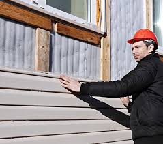 Best Siding Painting and Refinishing  in Roseville, MN